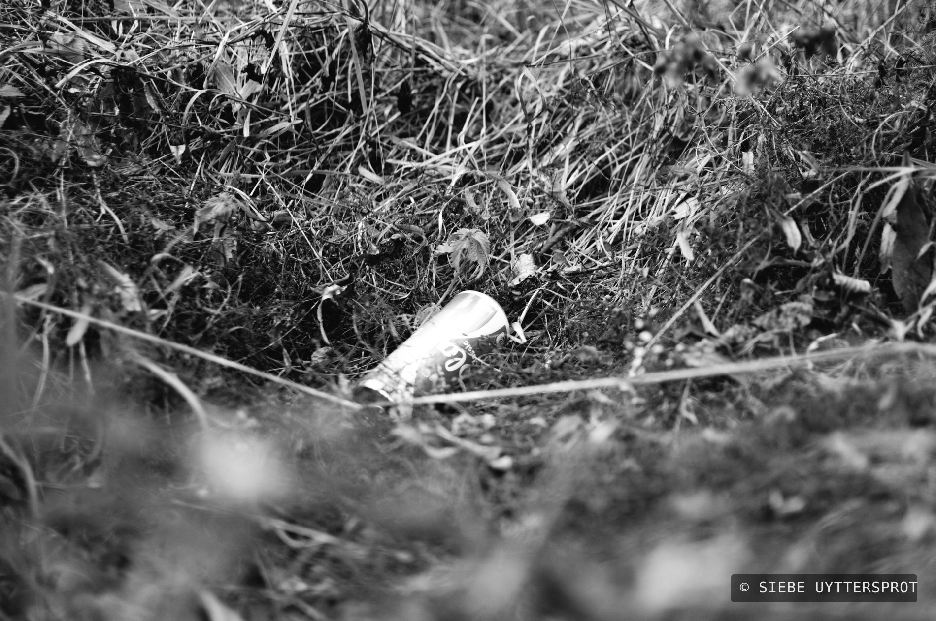 A crushed drink can lodged in dead grass at the bottom of a roadside ditch, a taut wire crossing the frame in the foreground.